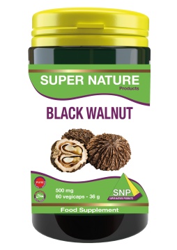 Black walnut