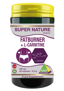 Fatburner Pure
