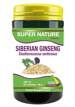 Siberian Ginseng