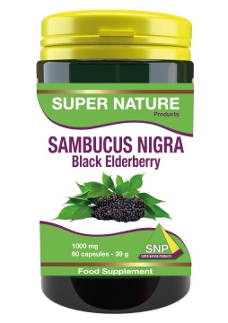 Sambucus Nigra Black Elderberry